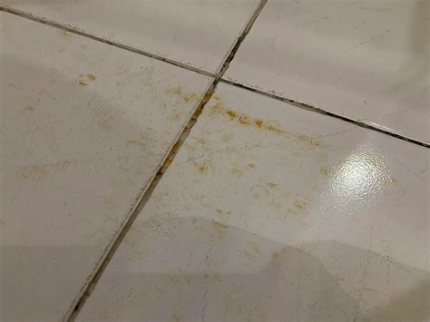 Stone Floor Rust
