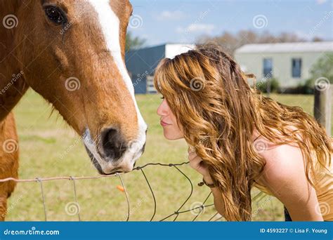 Baiser pour le cheval image stock. Image du brune, baisers - 4593227