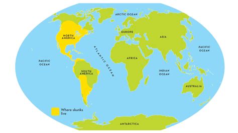 Where Skunks Live