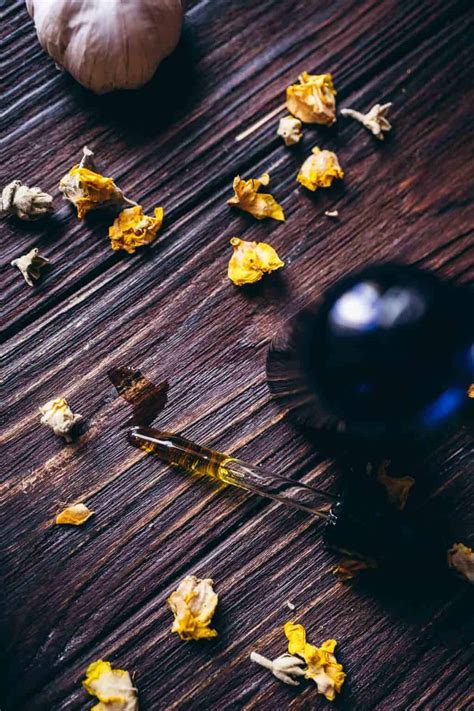 How to Make Garlic Mullein Oil • Schisandra & Bergamot