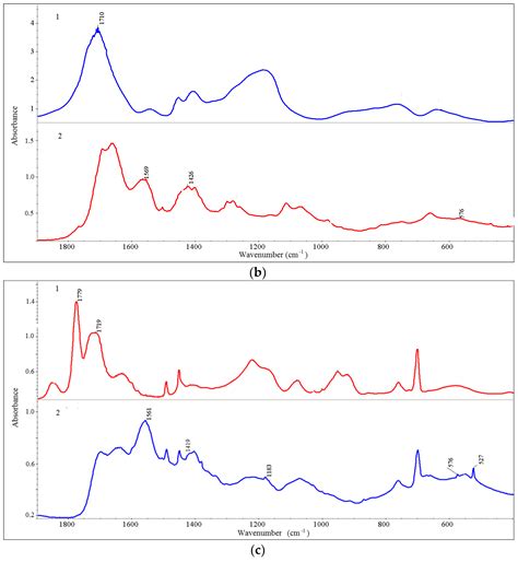 Hydrophilization and Functionalization of Fullerene C60 with Maleic ...