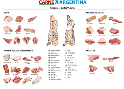 Cortes De Carne De Res