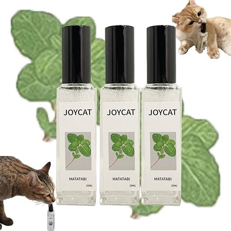 yourcatgoodies-default-title-catnip-cat-joy-spray-51423608176933 ...