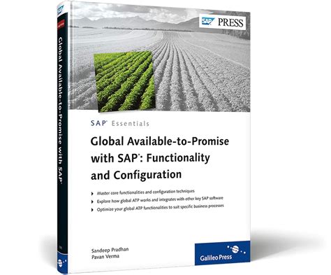 Buy Global Available-to-promise With Sap: Functionality and ...