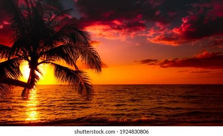 Image result for Sunset Climb O2