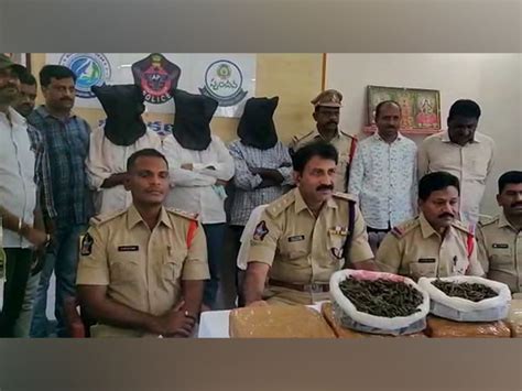 Palamaneru police arrests three persons for selling ganja in Andhra's ...