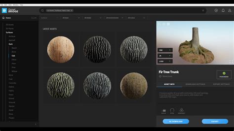 Image result for SpeedTree Modeling