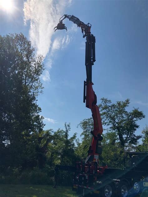 Image result for Remote Control Tree Removal