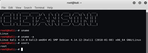 Top 20 Basic Kali Linux Commands – Yeah Hub