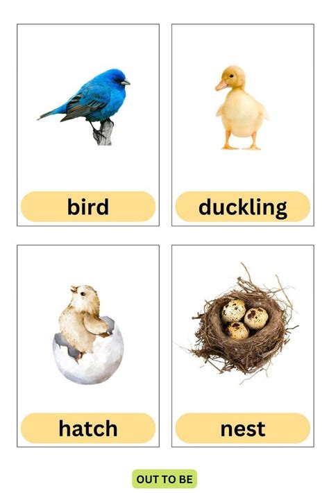 Spring FlashCards 的图像结果