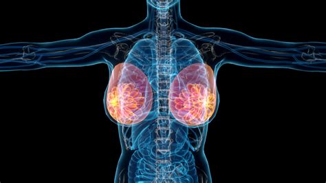 Anterior Mediastinum