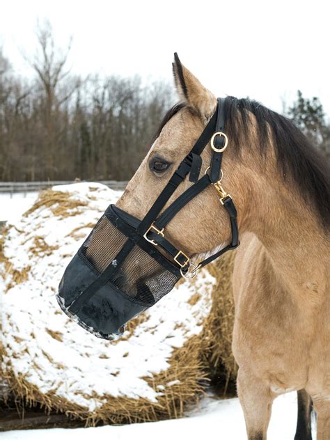 Horse Feed Bag - System Equine