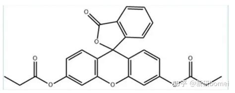 AMBIL SEKARANG