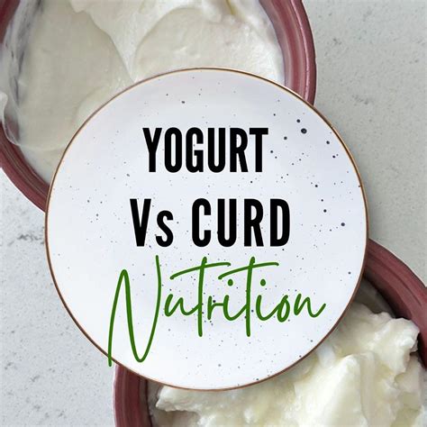 Yogurt vs Curd: Know the Key Differences - mytastycurry.com