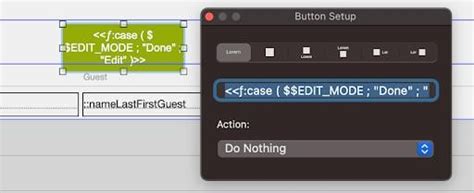 FileMaker Charts Forms 的图像结果