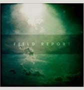 Image result for field report 现场报道