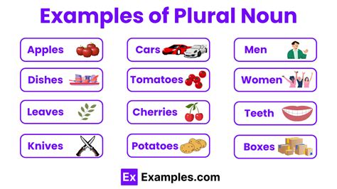30+ Plural Noun Examples
