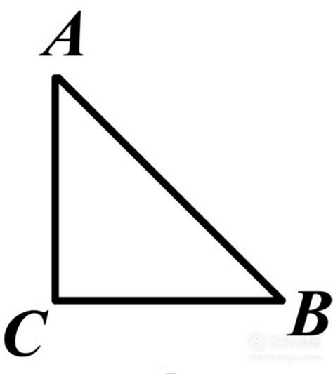 认识三角形并掌握计算周长及面积 - IIIFF互动问答平台
