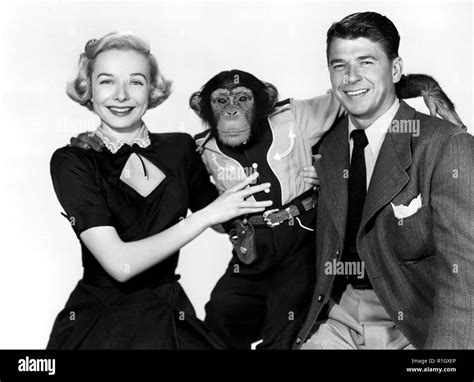 Bedtime for bonzo 1951 ronald reagan hi-res stock photography and ...