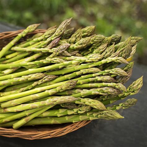 Asparagus: A versatile veggie bursting with health benefits - GreenStar
