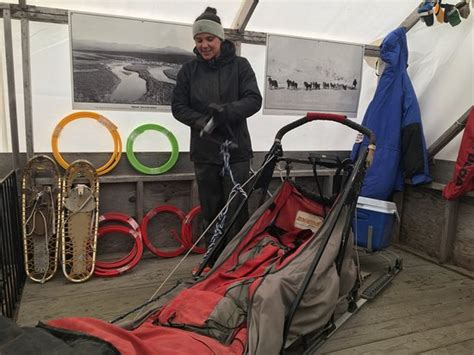 Dog Sled Discovery & Musher's Camp (Juneau) - 2022 What to Know Before ...