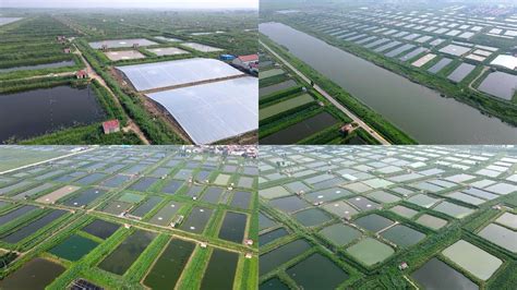 养殖池塘工程建设的四种类型农业资讯-农信网