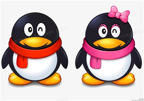 男女版qq企鹅高清头像PNG图片素材下载_企鹅PNG_熊猫办公