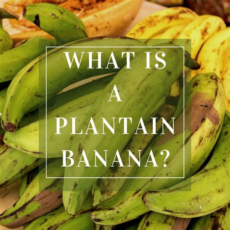 Plantain Banana Woolworths at Rachel Vance blog