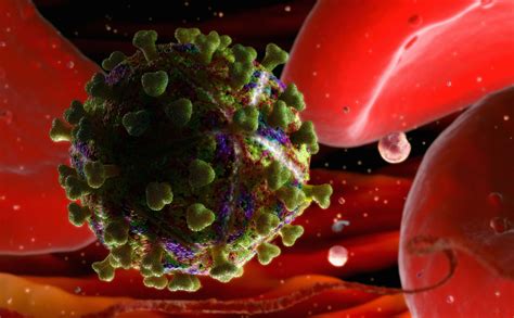 HIV是通过什么途径进入T淋巴细胞的？ - 知乎