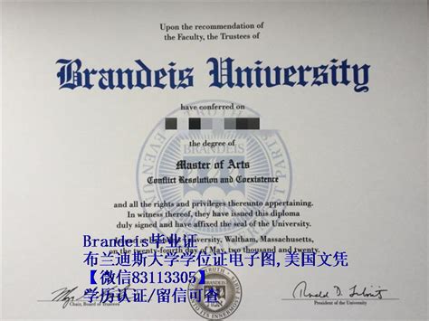 布兰迪斯大学学位证电子图,美国文凭封皮套颜色任意选 - 蓝玫留学机构