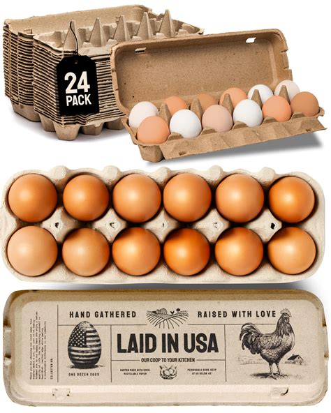 Amazon.com: Hatortempt 24 Pack Egg Cartons Bulk - 12 Count Paper Pulp ...