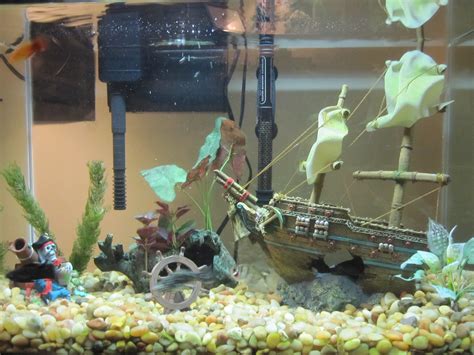 Fish Tank Decoration Ideas