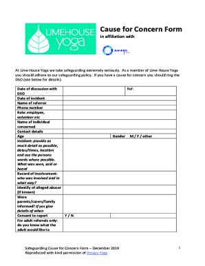 Fillable Online LHY Safeguarding Cause for Concern Form - Lime House ...