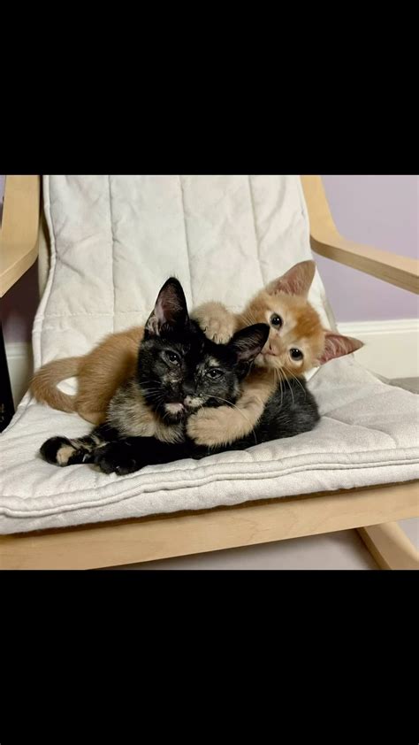 Texas Litter Control (@texaslittercontrol) • Instagram photos and videos