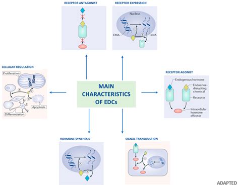 Endocrine-Disrupting Chemicals and Insulin Resistance in Children