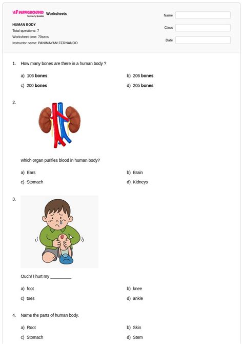 50+ Human Body worksheets for Class 4 on Wayground | Free & Printable