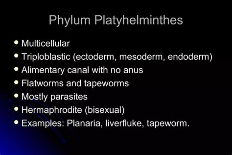 Invertebrates | PPT