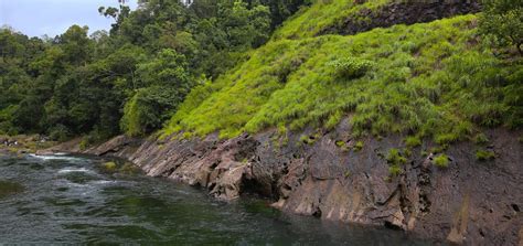Silent Valley National Park, Palakkad - Experience Kerala