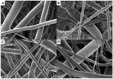 Cyclodextrin-Polypyrrole Coatings of Scaffolds for Tissue Engineering