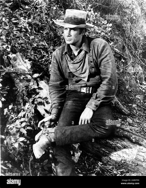 STAGECOACH, Alex Cord, 1966, TM and Copyright ©20th Century Fox Film ...