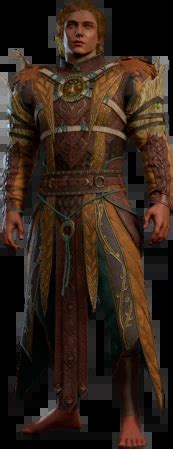 Druidic Armour - bg3.wiki
