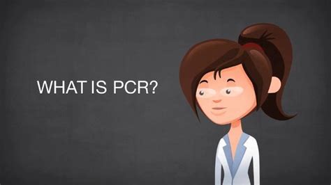 Image result for PCR Introduction