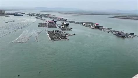 海南海口的水果批发市场在哪里啊 - 业百科