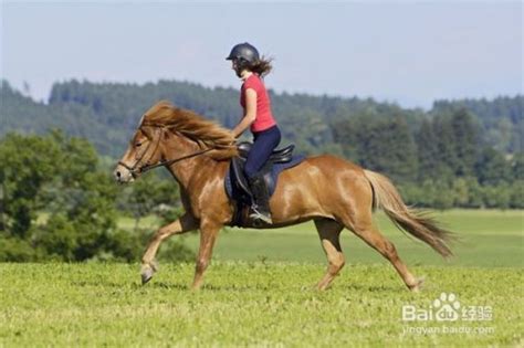 研究发现骑马能减轻青少年压力_心理健康_新闻_99健康网