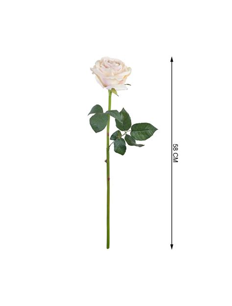 Ivory Rose Stem for Elegant Home Decoration - IAAH