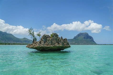 Image result for Pretty HTML Python Template