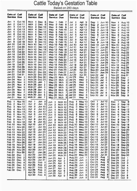 Printable Cow Gestation Table
