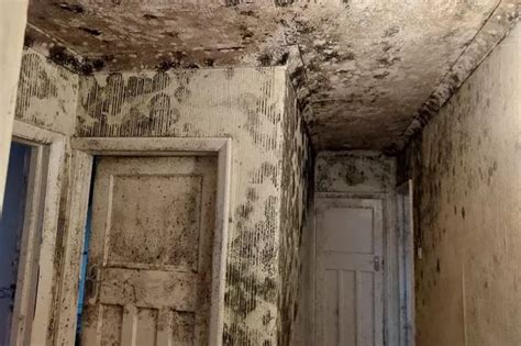 Home Exercise Program for Beginners 的图像结果