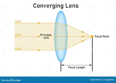 Convex or Converging Lens and Light Behavior Stock Illustration ...