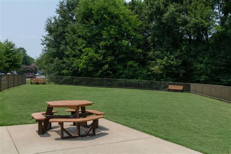 Amenities | The Addison at South Tryon Apartments in South Charlotte